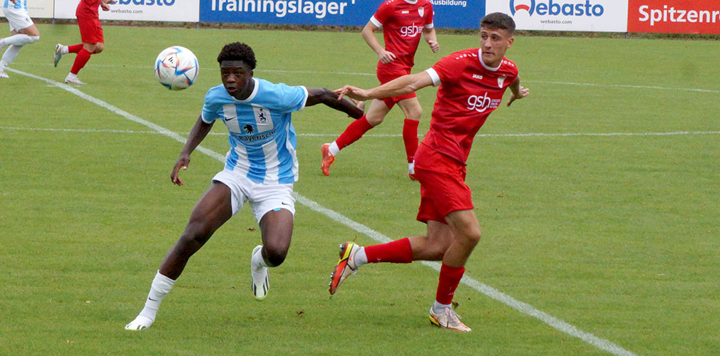 jungloewen_20startseite_2020_05.jpg