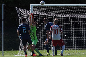 Luca Scholl hielt mit einigen Paraden die Junglöwen gegen Regensburg im Spiel. Foto: Markus Burger
