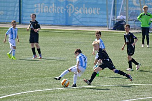 U10-Junglöwen erringen einen 12:0-Heimsieg. Foto: TSV 1860